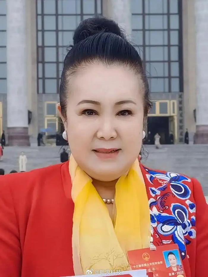 全国人大代表宋亚平：建议严管啃小行为