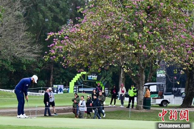 图为现场高尔夫球爱好者观看比赛。中新网记者 李志华 摄