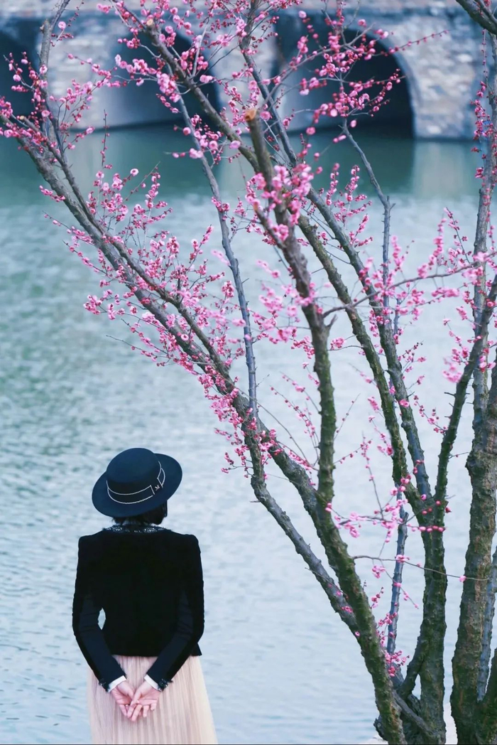 小红书网友@心安是归处