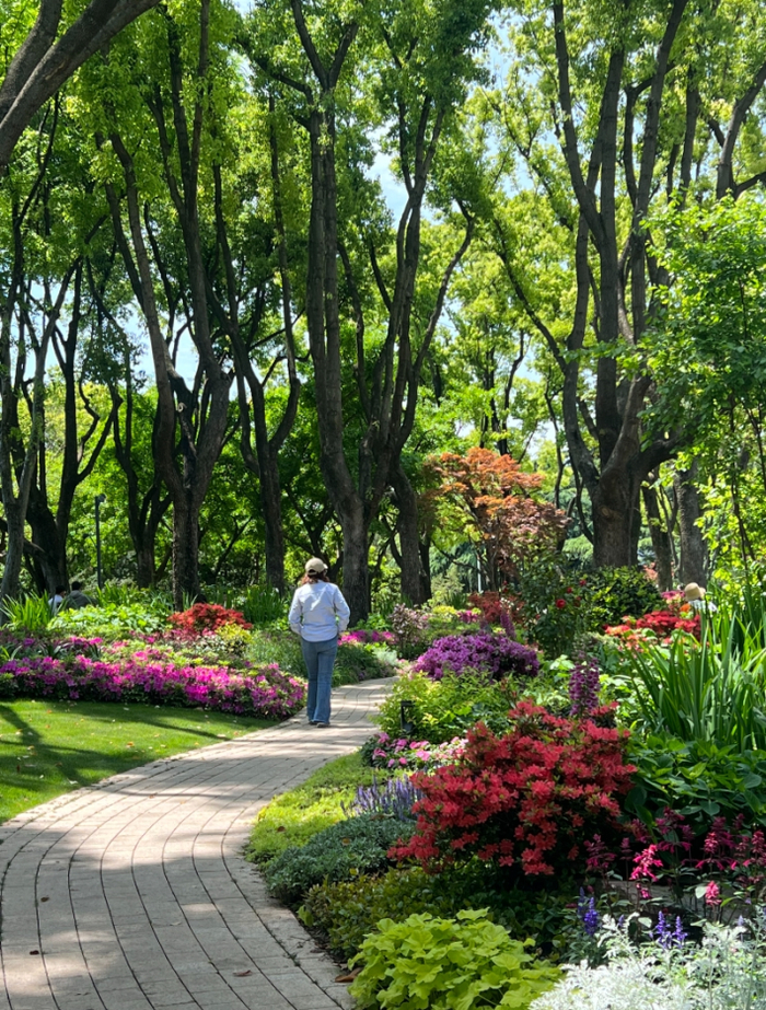 辅德里公园 @下小雨