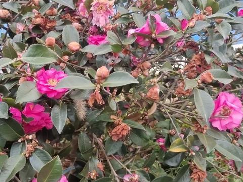 无论男女，晚年以后，没有特殊经济困难，不要用时间和体力换钱！