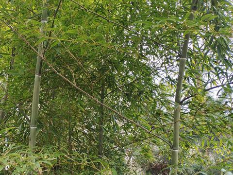 人过六十，请马上停止对子女做这六件事，很多人都吃了苦头