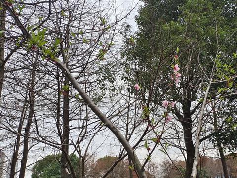 人老了，长期分床睡的夫妻 ，多半会是这3个结果，看完你就明白了