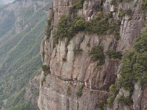 当你老了，躺在病床上就会明白：这辈子最靠得住的，只有三个人