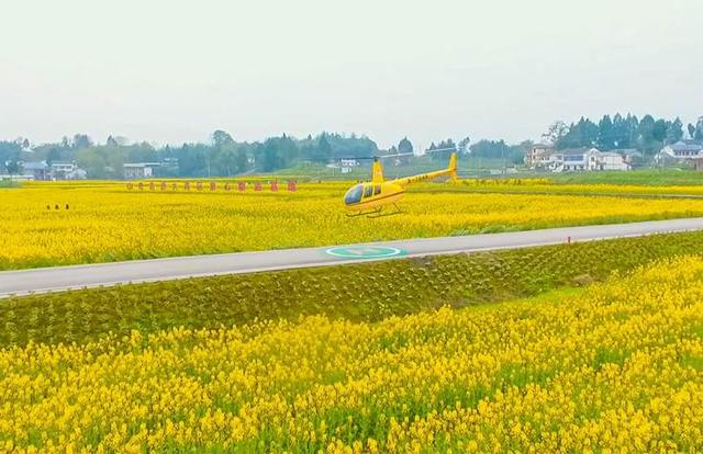 （游客正在参与低空飞行体验项目。唐敏摄）