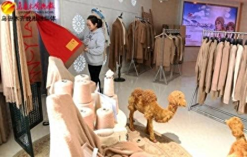 　　在位于头屯河工业园的新疆玉泰驼绒纺织品有限公司展厅，工作人员在整理展品。记者唐红梅摄