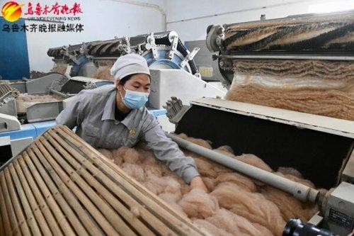 　　在位于头屯河工业园的新疆玉泰驼绒纺织品有限公司生产车间，工作人员在生产线查看驼绒。记者唐红梅摄