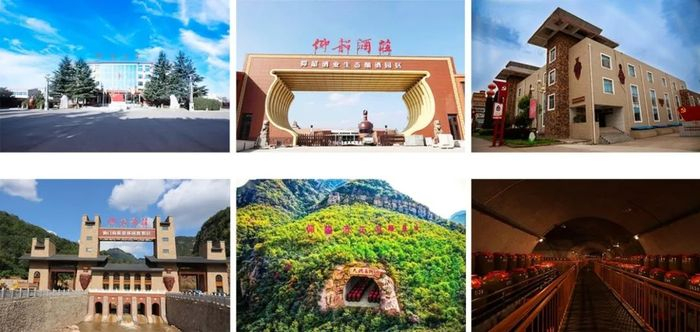 图片来源：仰韶酒业官网