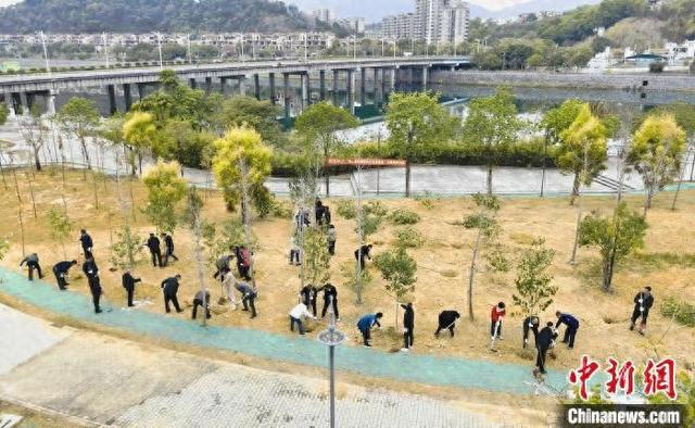 韶关市浈江区开展植树活动。广东省林业局 供图