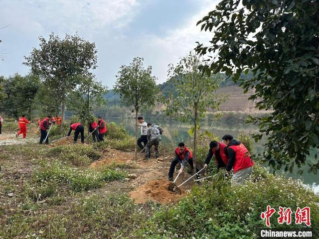 河源市开展植树活动。广东省林业局 供图