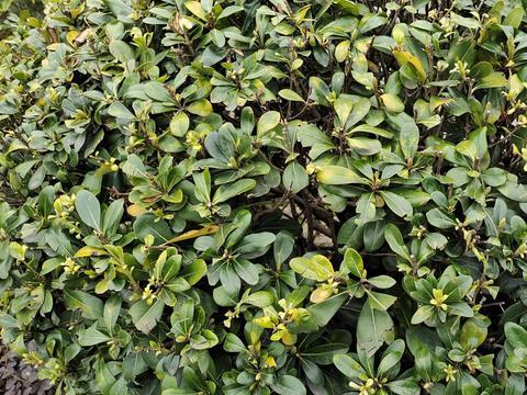 体面养老靠什么？孩子？存款？第一很多人想不到