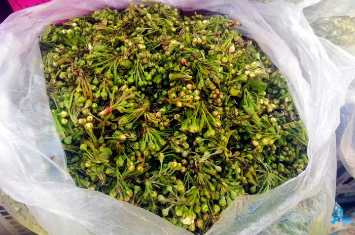 棠梨花 段绍玉 摄