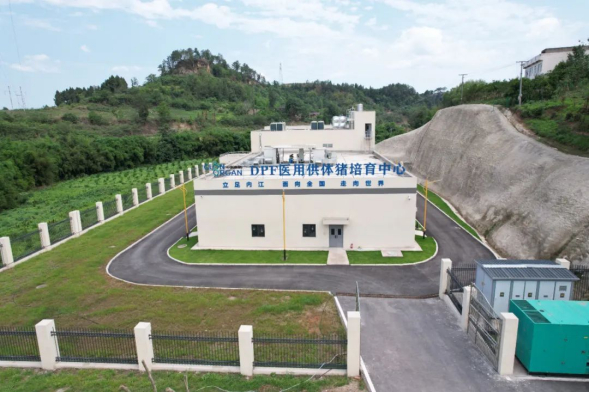 DPF医用供体猪培育中心（图片源自中科奥格公众号）