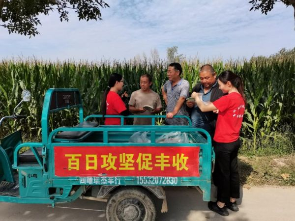 ▲曲周王庄科技小院同学在田间给农户做技术指导。张晓宁▕摄