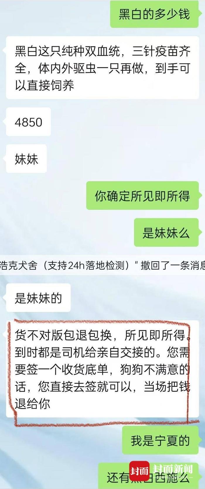 宁夏女子花4000元网购西施犬 却收到“串串”：卖家失联，已报警｜追踪到底（西施犬视频介绍）