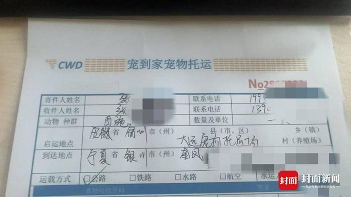 宁夏女子花4000元网购西施犬 却收到“串串”：卖家失联，已报警｜追踪到底（西施犬视频介绍）