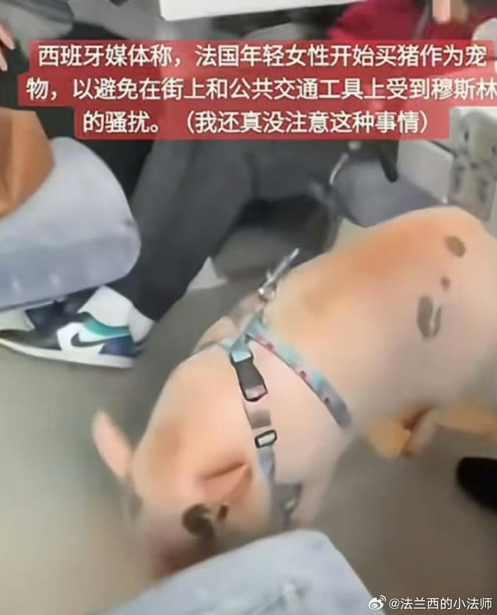 虽然我很希望他们这样做，但是我从来没见过，也没找到新闻源