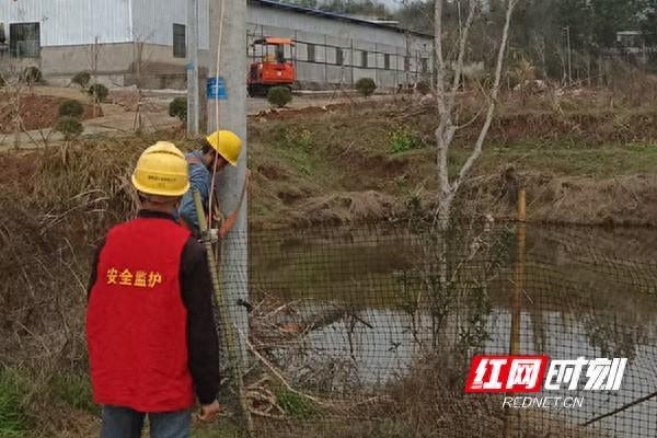 国网株洲渌口区供电公司：快速打通供电“卡”点，农业科技升级动力足