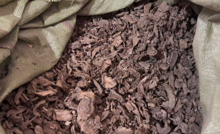 足浴包的原材料之一是老姜，但是碎渣、碎屑特别多 来源：澎湃新闻