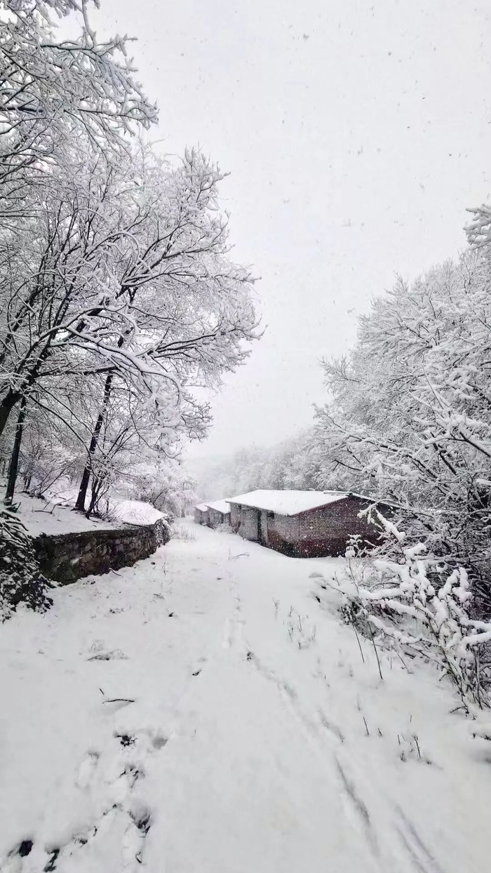 图源：北京日报