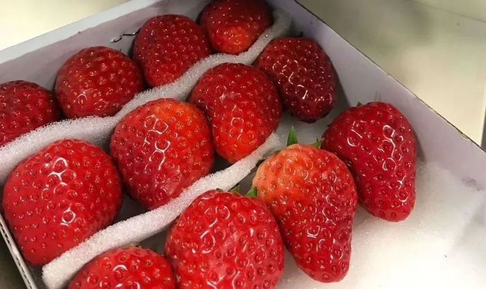 健康时报资料图 毛圆圆摄