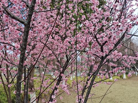 72岁老人坦言：住过儿媳和女婿家后才明白，晚年最好的归宿住在哪