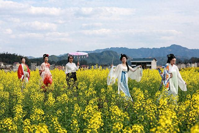 2025年3月19日，贵州省黔东南苗族侗族自治州三穗县长吉镇烧巴村，游客身着汉服在油菜花田中游玩。视觉中国 图
