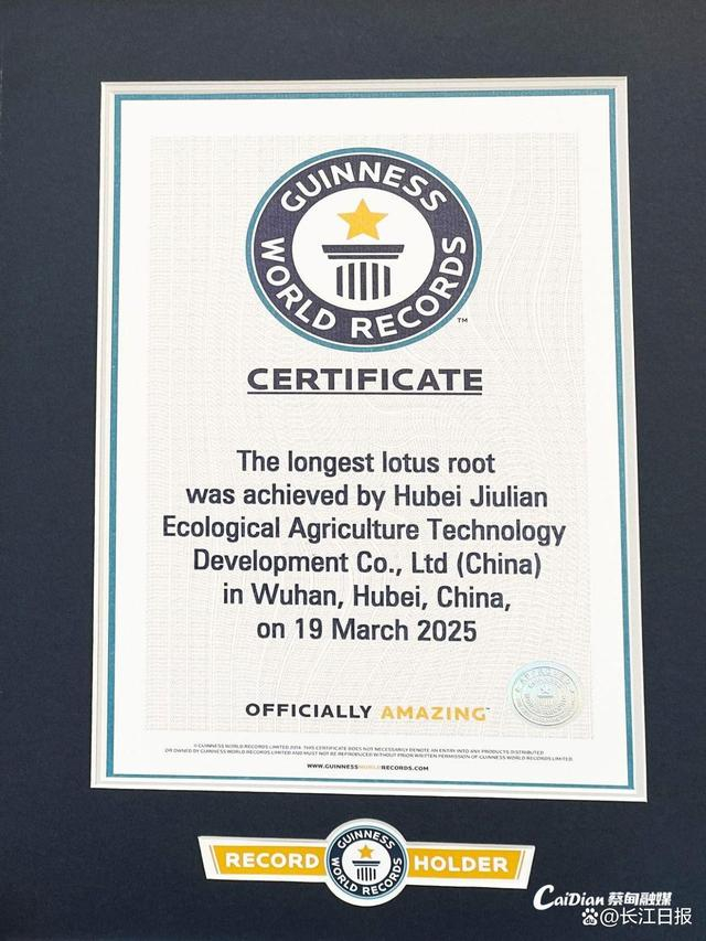 吉尼斯世界纪录“最长的莲藕”证书