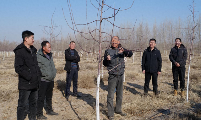 乡土专家宋福林（中）现场示范。张美娜 摄