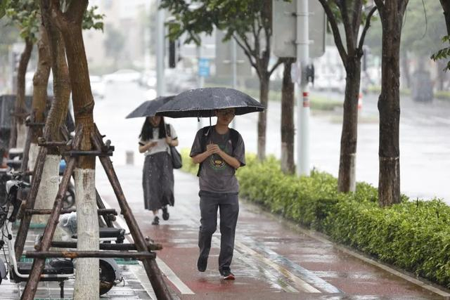 资料图。记者 陈理杰 摄