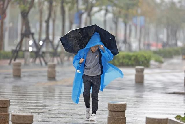 资料图。记者 陈理杰 摄