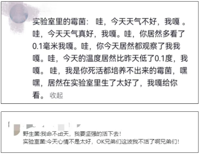 关于实验室培养菌的笑谈