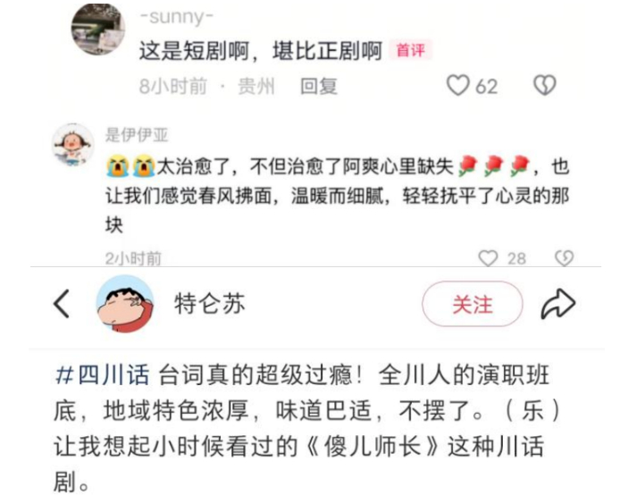 网友点评截图：“太治愈了”“台词真的超级过瘾”