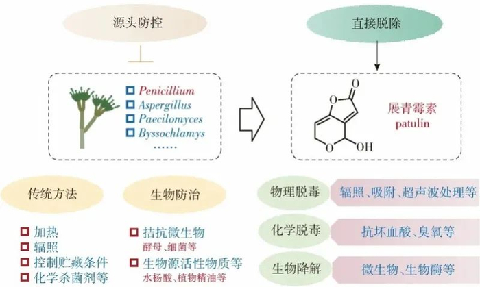 展青霉素污染的主要防控技术。来源：食品科学技术学报