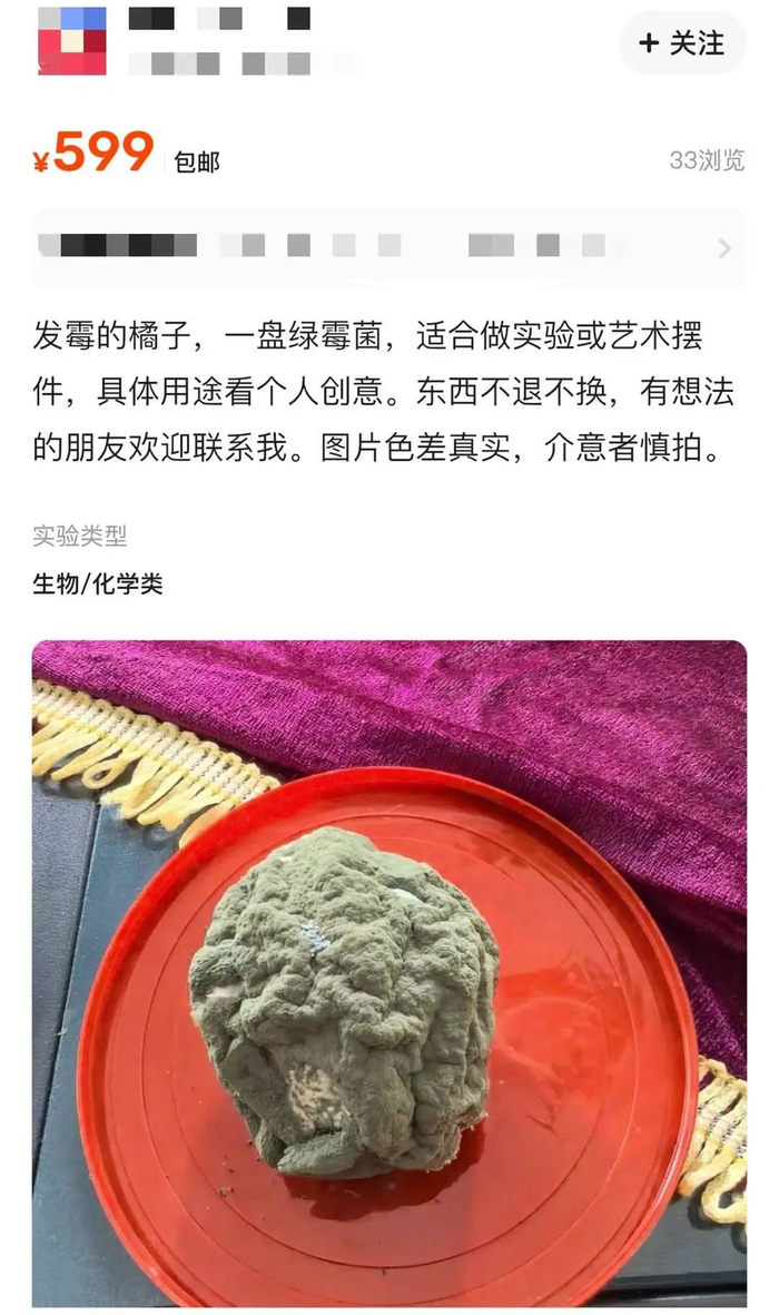 一个发霉橘子标价599元