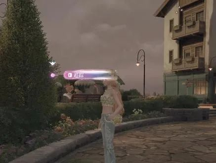 游戏中的“大喵视野”