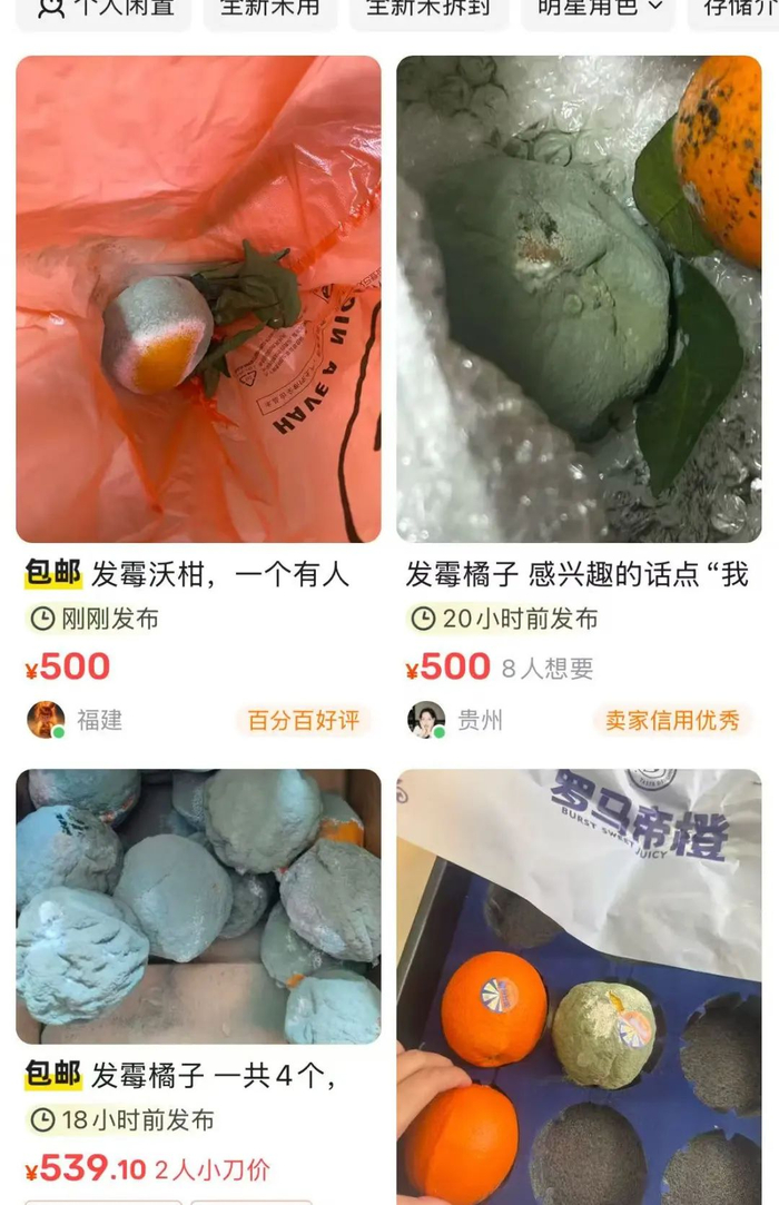 ▲发霉橘子在二手交易平台上出售。图源：平台页面截图