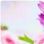 《国色芳华》中的蒋长扬，他彻底爱上何惟芳之后…