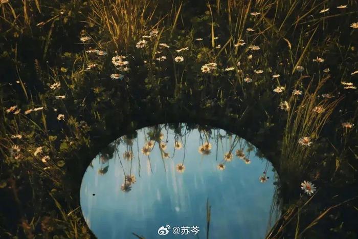 拦不住的就是命，有时候感觉身边有些人突然会执拗到难以理解…