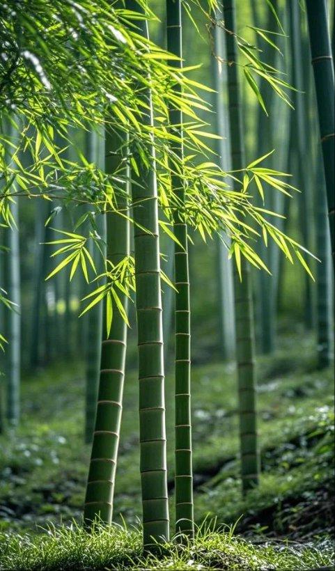 爱情中，细节打败爱情，也成就爱情