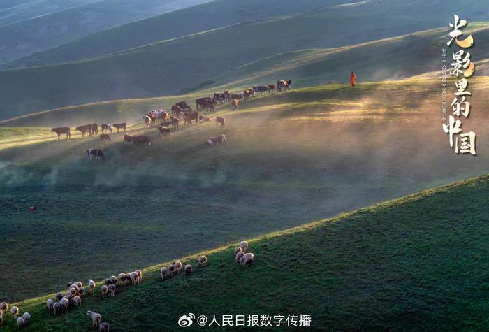 每日晨语 请永远记得：你值得被温柔以待