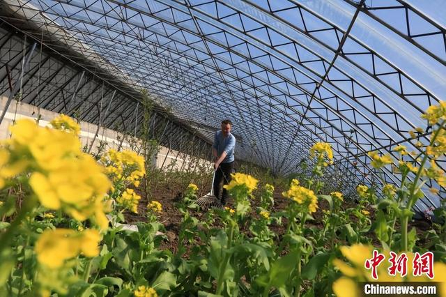 图为种植户正在管理林果新品种。 时秀霞 摄