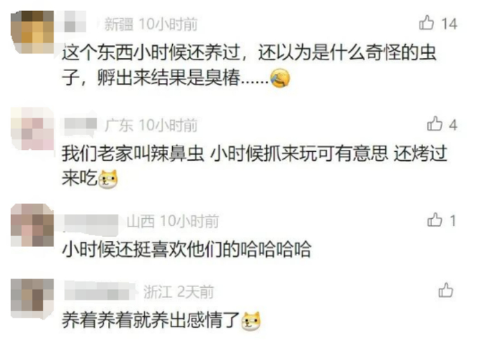 来源：钱江晚报、健康杭州、滨江区卫健委