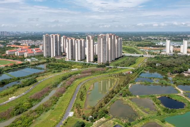 北海市滨海国家湿地公园（冯家江流域）水环境治理工程。苏委武摄