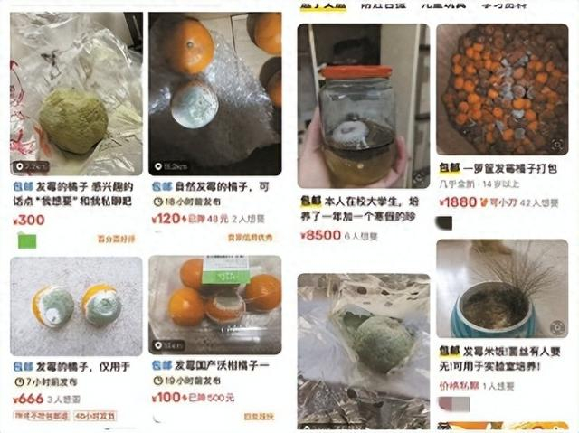 　　某二手交易平台上，发霉的橘子等食品标注了高价。交易平台截图