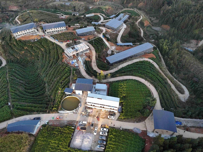  从江粤黔公司龙江香猪养殖基地 