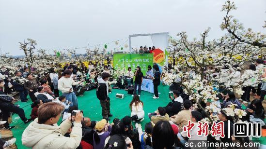 活动现场。 罗江区委宣传部供图