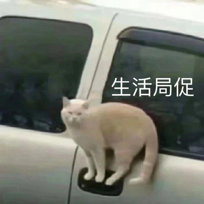 为什么关房间门父母会不喜欢