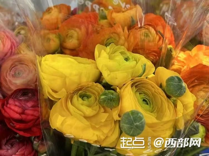 时令花束洋牡丹。