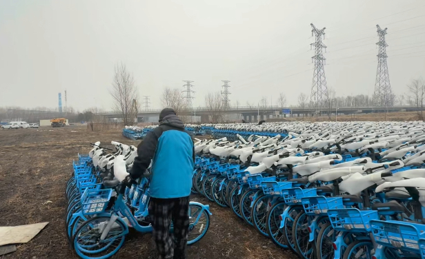 工作人员正在整理共享单车 长春市城管局/供图